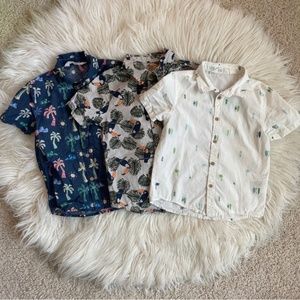 Bundle of Short Sleeve Button Down Toddler Boy Shirts